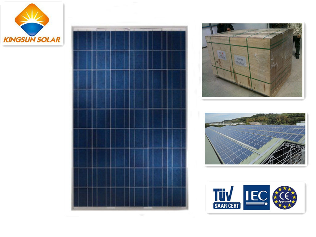 215W High Efficiency Polycrystalline Solar Panel Module