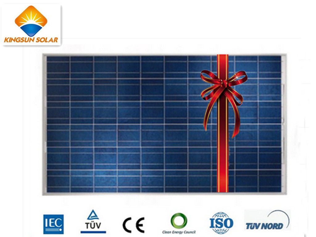 Hot Sale Powerful 215W Polycrystalline PV Solar Panel