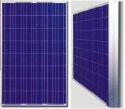 175W Poly Solar Cells&Panels (KSP175W-48)