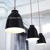 2014 Fashion Contemporary Pendant Lamp / Decorative Lighting
