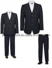 2015 Men Business Suits (pH-10)