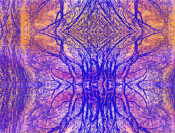 2015 New Available Prints 7