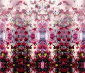 2015 New Available Prints 8