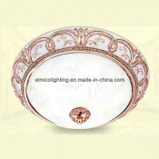 2015 New Design Ceiling Lighting with Resin Material (CH101)
