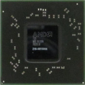 216-0810005
