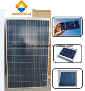 240W Poly Solar Panel Module/Solar Power/Solar Energy Panel
