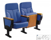 5D Theater Equipment Luxury Cinema Chair Theater Seating Chair Cinema Chair (XC-2038)