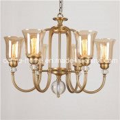 6 Lights Glass Shade Pendant Lamp (SL2214-6)