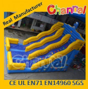 Adult Slide Inflatable Slide Commercial Slides
