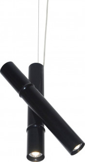 Aluminum Alloy Carbon Steel Suspension Light Pendant Light (2240s-2)