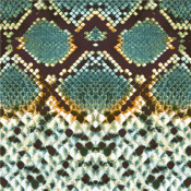 Available Print Design 100