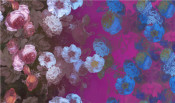 Available Print Design 66