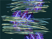 Available Print Design 70