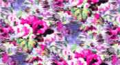 Available Print Design 74