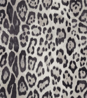 Available Print Design 80