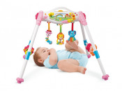 Baby Gift Baby Play Gym Toy (H0037155)