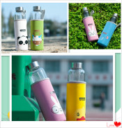 Borosilicate Glass Drinking Bottle for Sport Dn-165c