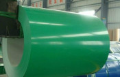 Bright Green Top Selling Factory Price PPGI Coil