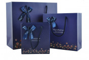 Cardboard Paper Handle Bag Custom Shopping Bag for Gift