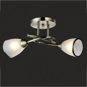 Ceiling Lights Beautiful Ceiling Lamp (GX-6056-2)