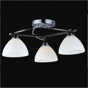 Chanadelier Ceiling Lamps