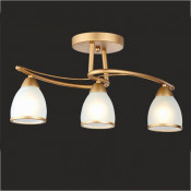Chandelier Ceiling Lamp Down Lights
