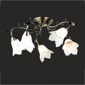 Chandelier Ceiling Lamp Greative Lamps (GX-6066-5)