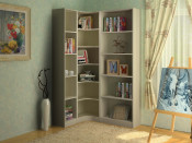 Chinese Furniture Book Cabinet for Living Room