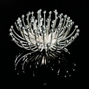 Chrysanthemum Table Lamp or Ceiling Lamp or Wall Lamp