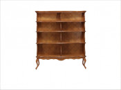 Classic Home Furniture Wooden Bookcase Book Cabinet (H533)