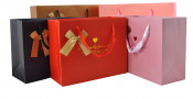 Colorful Paper Gift Bag New Desgin Packaging with High Quality