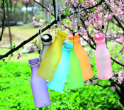 Colorful Plastic Drinking Bottle, Best Selling Plastic Bottle