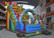 Commercial Grade Inflatable Slide on Sale
