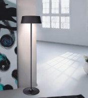 Contemporary Carbon Steel Unique Floor Lamps (303F)