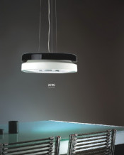 Contemporary Home Carbon Steel Pendant Lighting (299S)