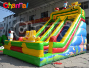 Customized Design Inflatable Dry Slide