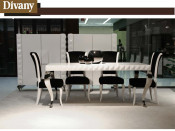 Divany Modern Dining Room Furniture, Dining Table and Chair, Living Room Furniture (LS-208)