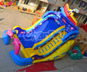 Dolphin Giant Inflatable Slide for Kids & Adults Chsl462