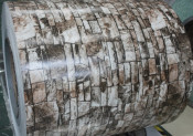Exporting Popular PPGI Coil for Country House Roofing /Wall