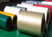 Gold Color Pre Painted PPGI/PPGL Steel Coil