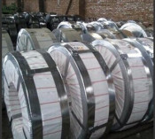 Good Quality Hot Galvanized Steel for Strip /Steel Struction