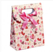 Good Shopping Kraft Packaging Paper Bag/Box