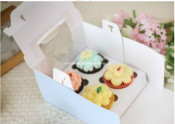 Hand Take Away Cake Bag /Box F