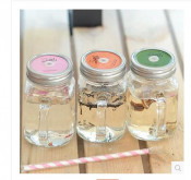 High Quaity 450ml 600ml Plastic Mason Jar with Tinplate and Lid