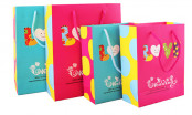 High Quality Colorful Paper Bag China Supplier