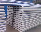 High Quality Freezer Cold Storage/Cool Room EPS Sandwich Panel