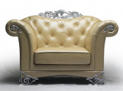 Hot Design Fashion Living Room Lse Series Sofa (LS-109A-A)