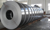 Hot Dipped Galvanized Steel Strip AISI, ASTM, Bs, DIN, GB, JIS