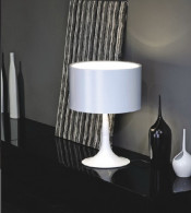 Hot Sell Modern Office Aluminium Table Lights (306T)