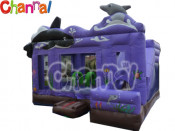 Inflatable Bouncer Combo/Inflatable Castle with Slide Bb141